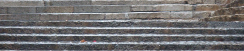 DSC02222